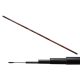 CARP EXPERT EVOLUTION POWER POLE 5M