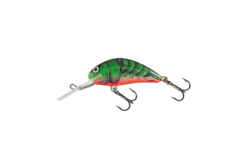 SALMO WOBBLER HORNET H2S RVC