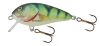 SALMO WOBBLER BUTCHER BR5F GT