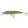 SALMO WOBBLER PIKE PE11F RPE