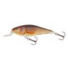 SALMO WOBBLER EXECUTOR IEX7SR RR