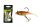 WIZARD SWIMBAIT MINNOW  2 INCH HOLLOWRED