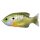 LIVETARGET SUNFISH WALKING BAIT NATURAL/GREEN BLUEGILL 75 MM 12 G