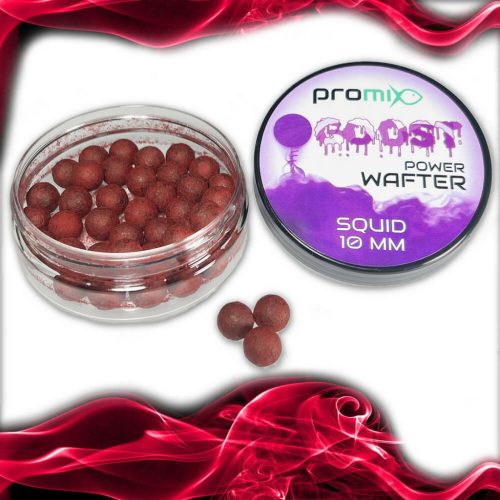 PROMIX GOOST POWER WAFTER SQUID 10MM