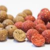 EuroBase Ready-Made Boilies TIGERNUT 20MM/1KG